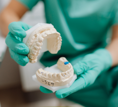 Person in medical gloves holding a dental model of teeth and jaw.