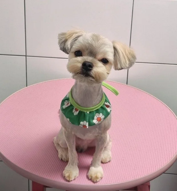 다운로드 (8).jfif