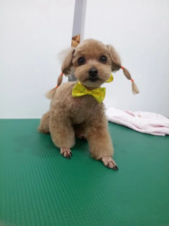 20120706_153401.jpg