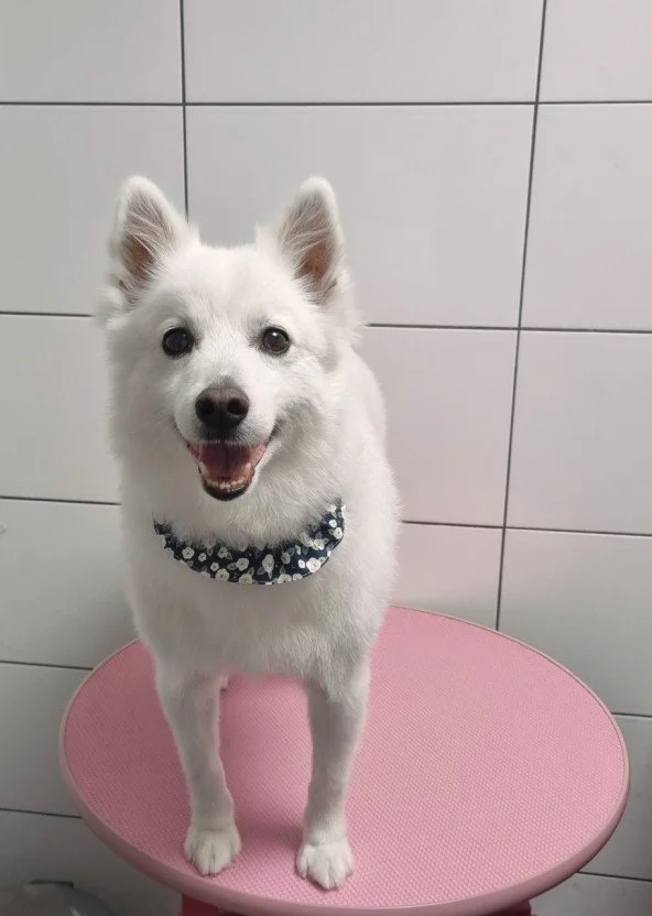 다운로드 (14).jfif