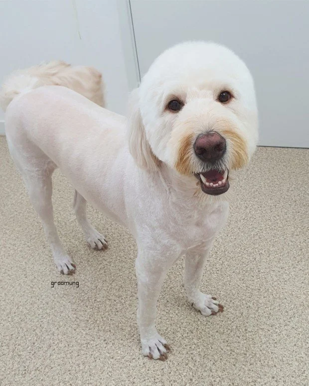 다운로드 (4).jfif