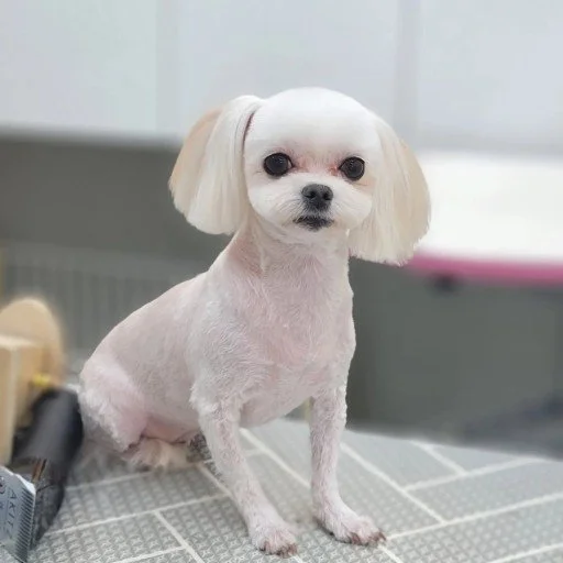 다운로드 (3).jfif