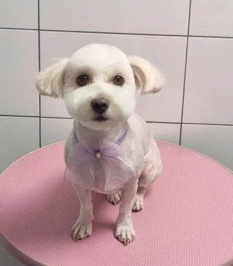 다운로드 (9).jfif