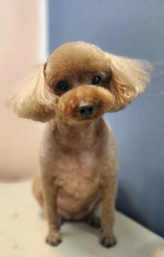 다운로드 (1).jfif