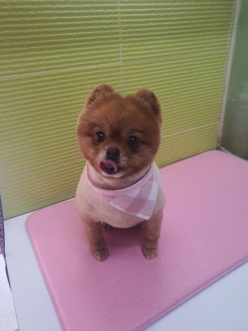 다운로드 (22).jfif