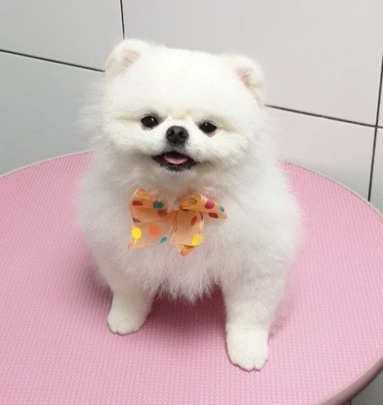 다운로드 (20).jfif