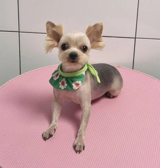 다운로드 (23).jfif