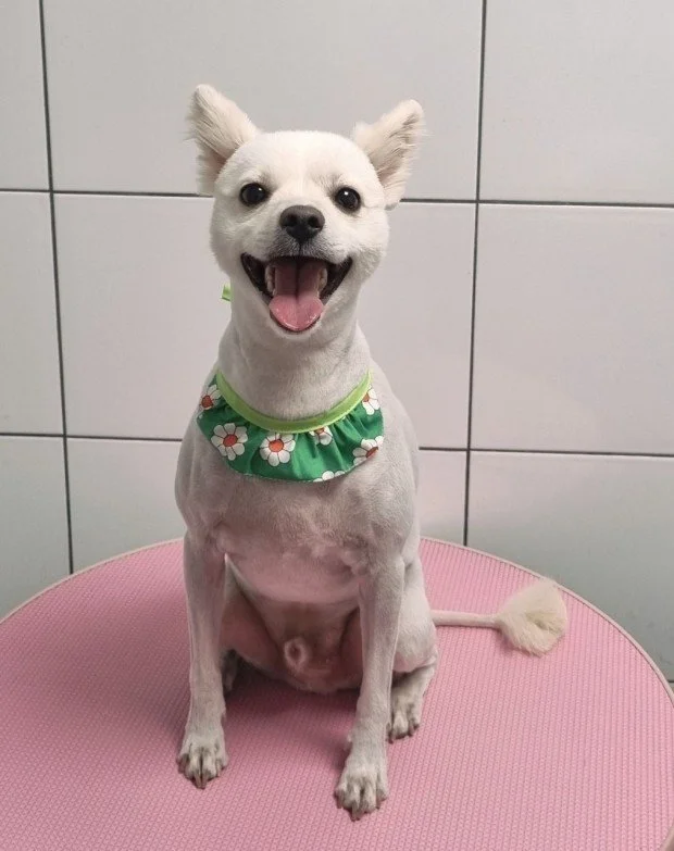 다운로드 (6).jfif