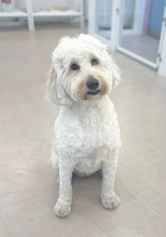 다운로드 (2).jfif