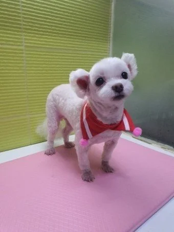 다운로드 (18).jfif