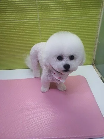 다운로드 (19).jfif