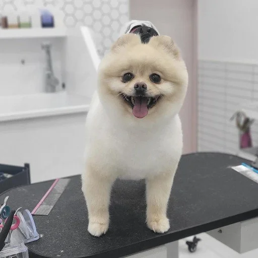 다운로드 (2).jfif