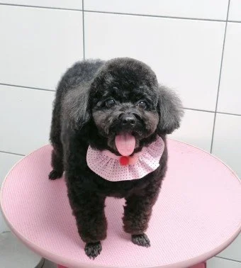 다운로드 (24).jfif