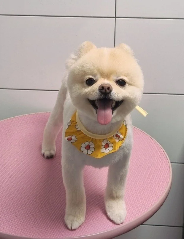 다운로드 (15).jfif