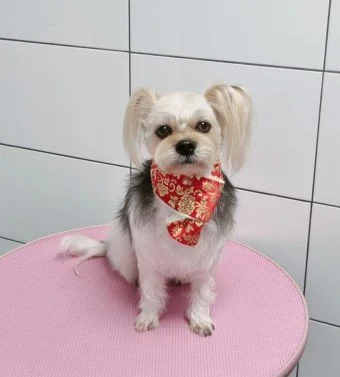 다운로드 (21).jfif