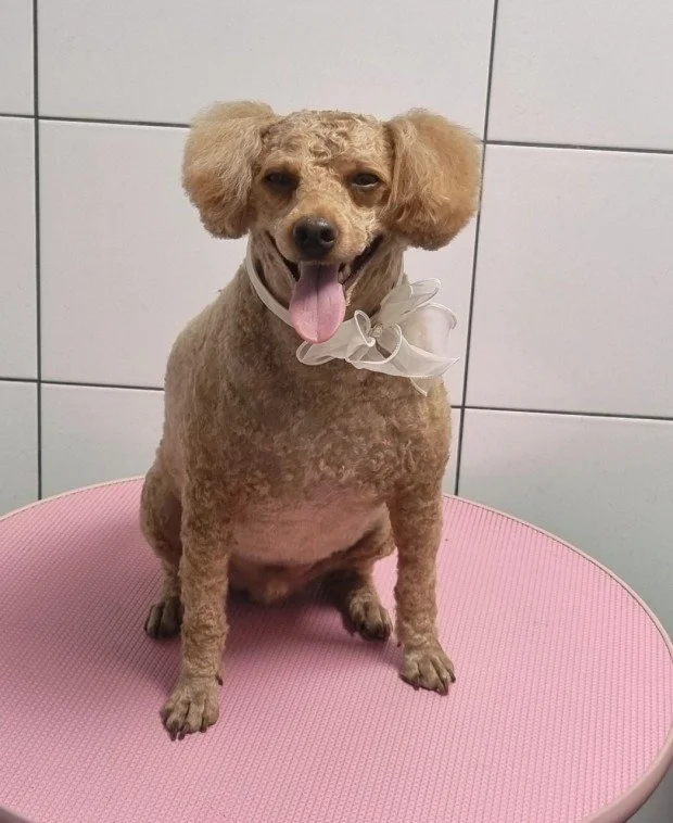 다운로드 (5).jfif