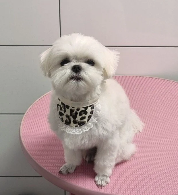 다운로드 (11).jfif