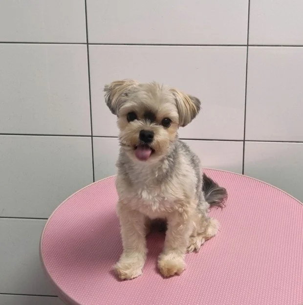 다운로드 (7).jfif