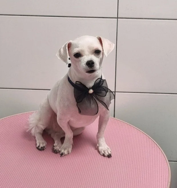 다운로드 (17).jfif