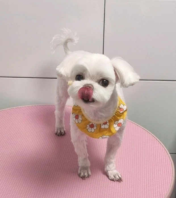 다운로드 (10).jfif