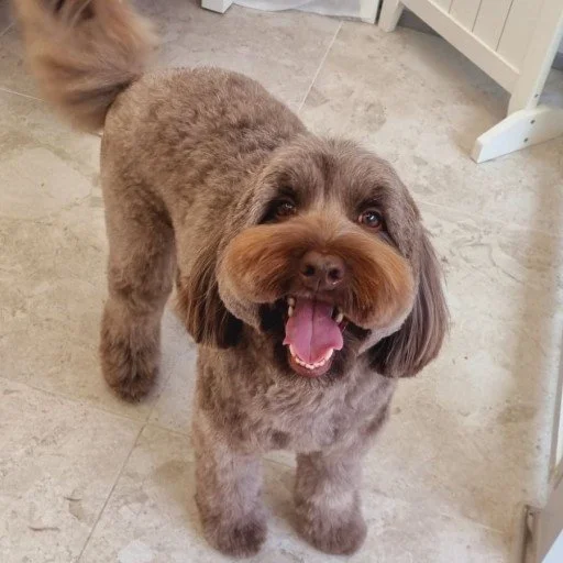 다운로드 (3).jfif