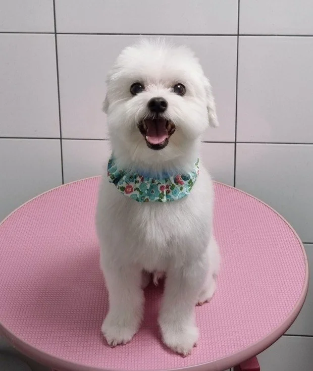 다운로드 (13).jfif