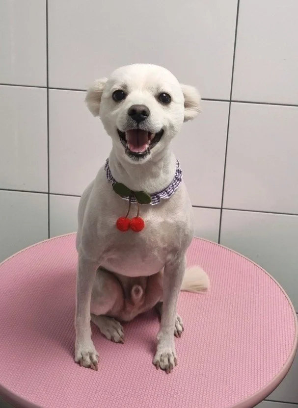 다운로드 (12).jfif