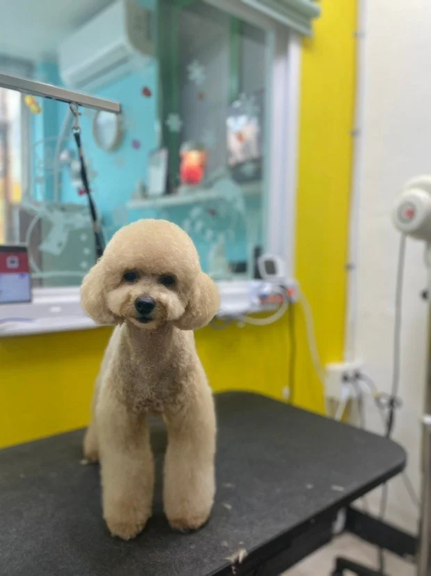 다운로드 (4).jfif