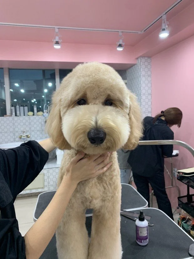 다운로드 (1).jfif