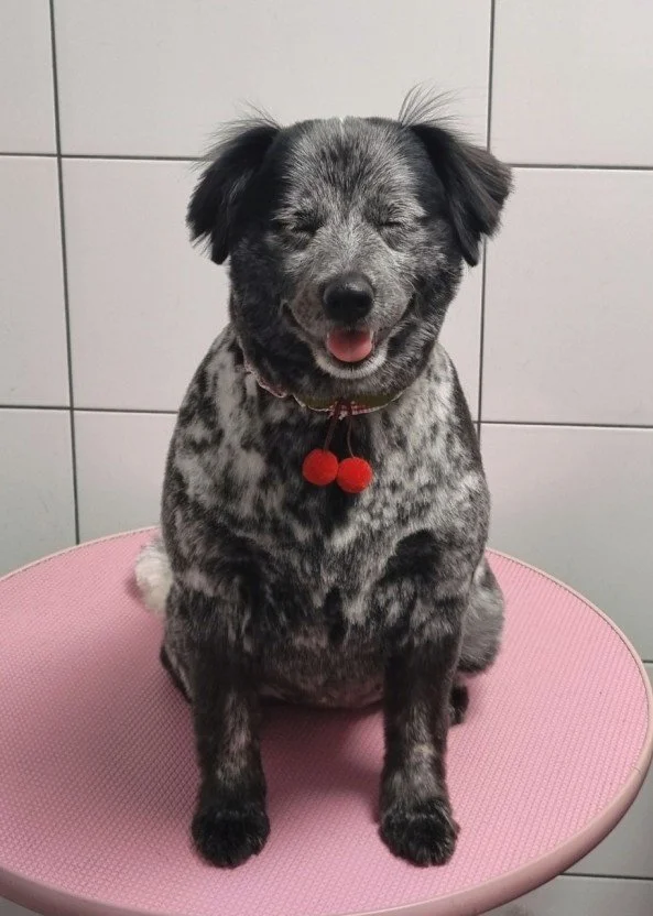 다운로드 (16).jfif