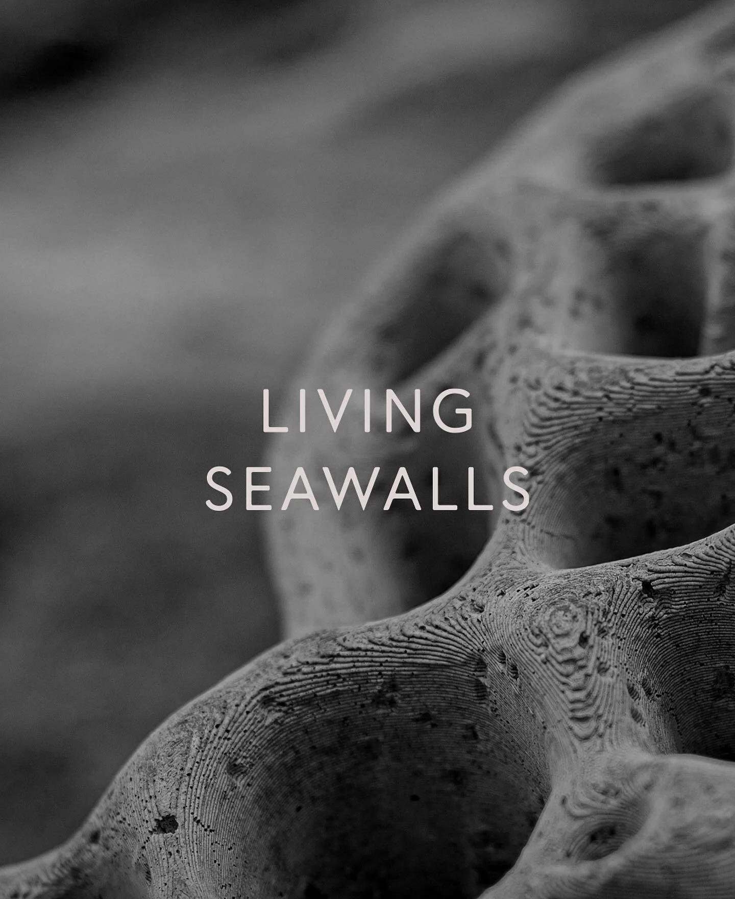 Recent rebranding of @livingseawalls 🐠
Clean and minimal, creating an icon based off their signature Seawall structure.