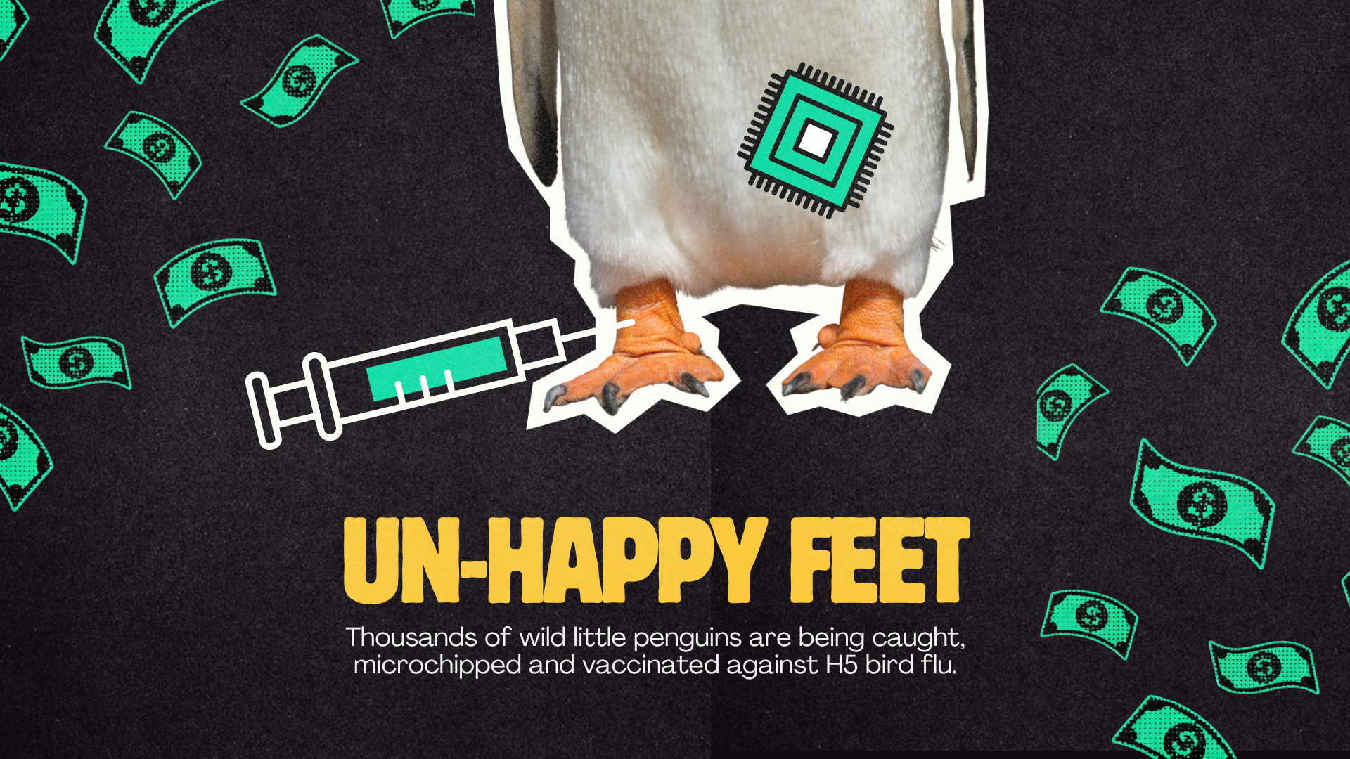 Remember the A-CDC? Ask the penguins.