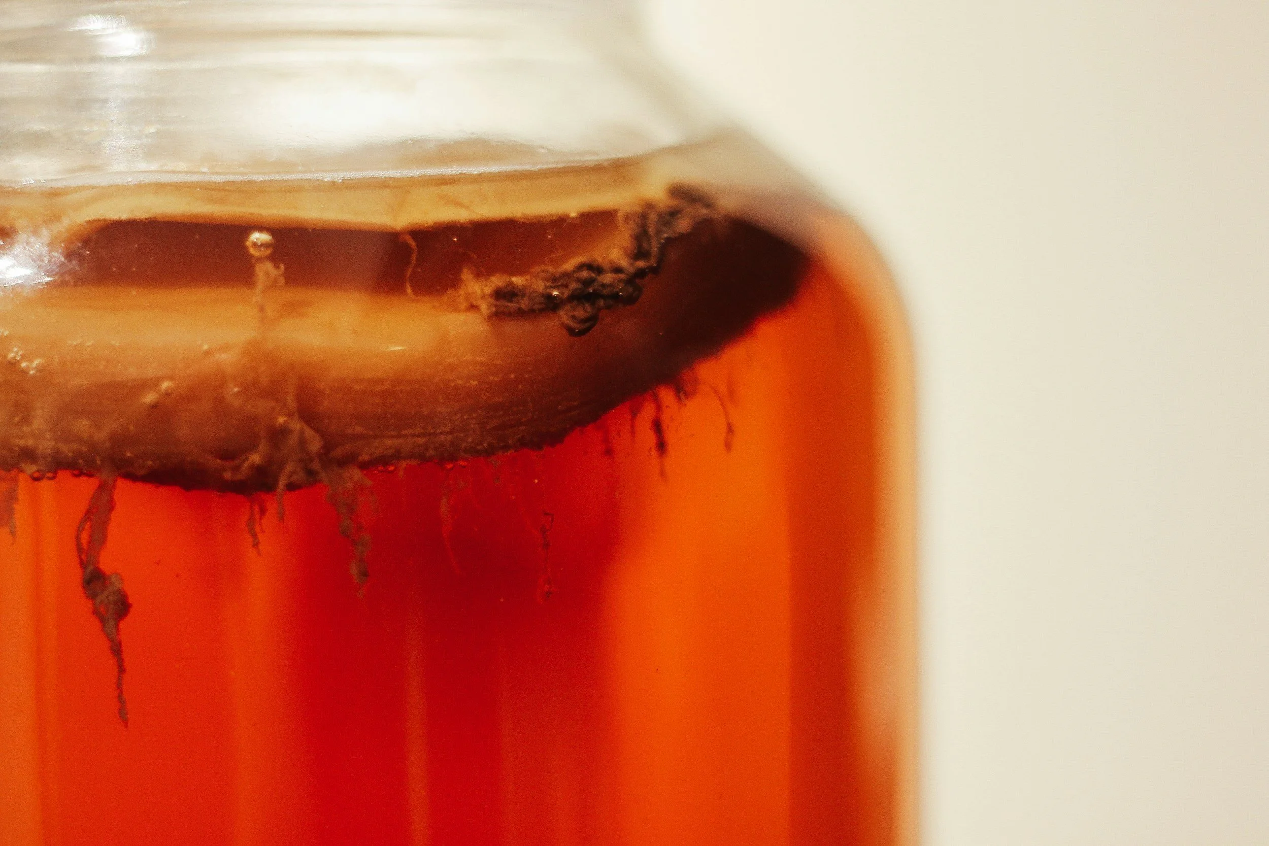 Why I Drink Kombucha Every Day: Benefits, Risks and My Homemade Recipe