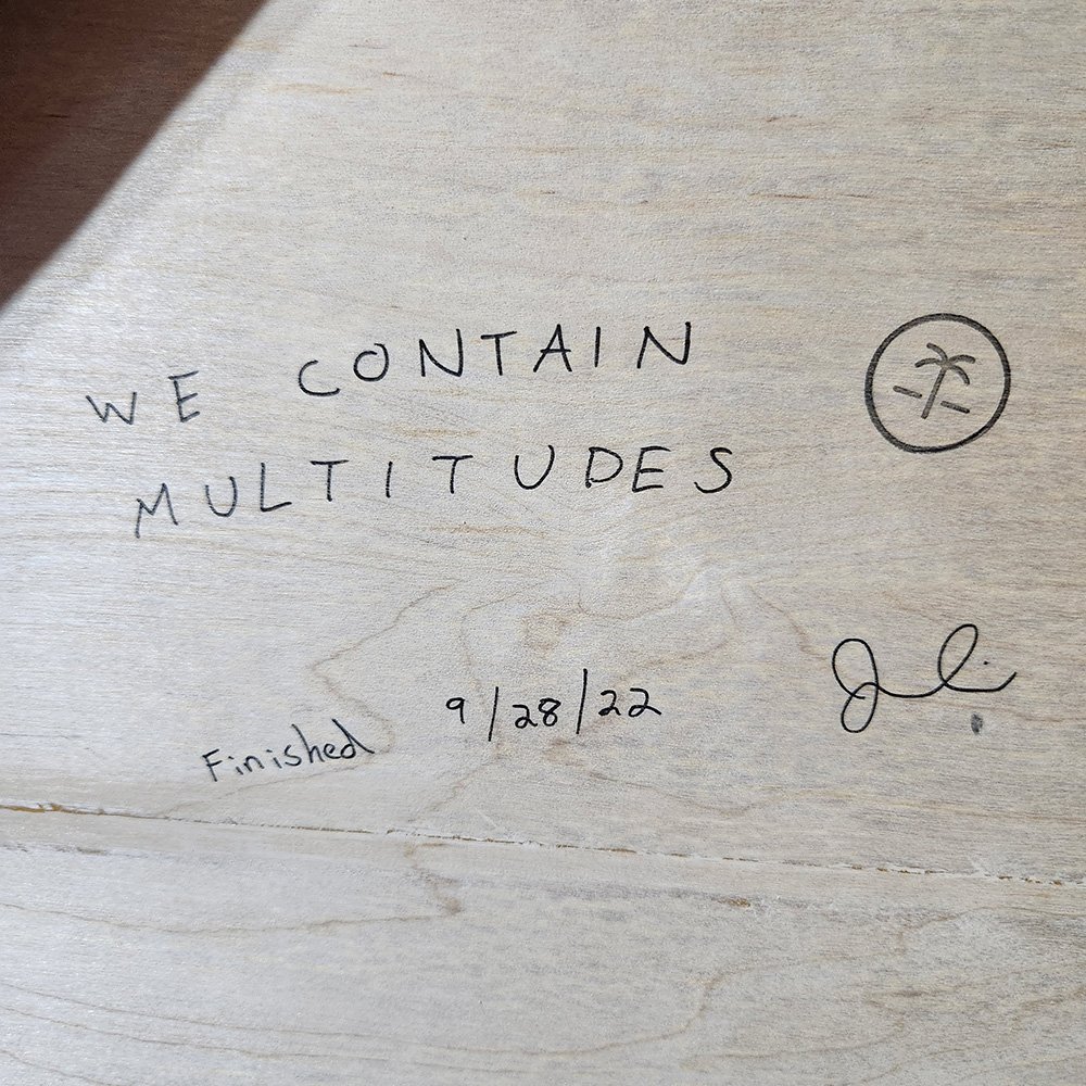 Artist-Spring-Break-Jake-Original-Painting-We-Contain-Multitudes-Signature-Back.jpg
