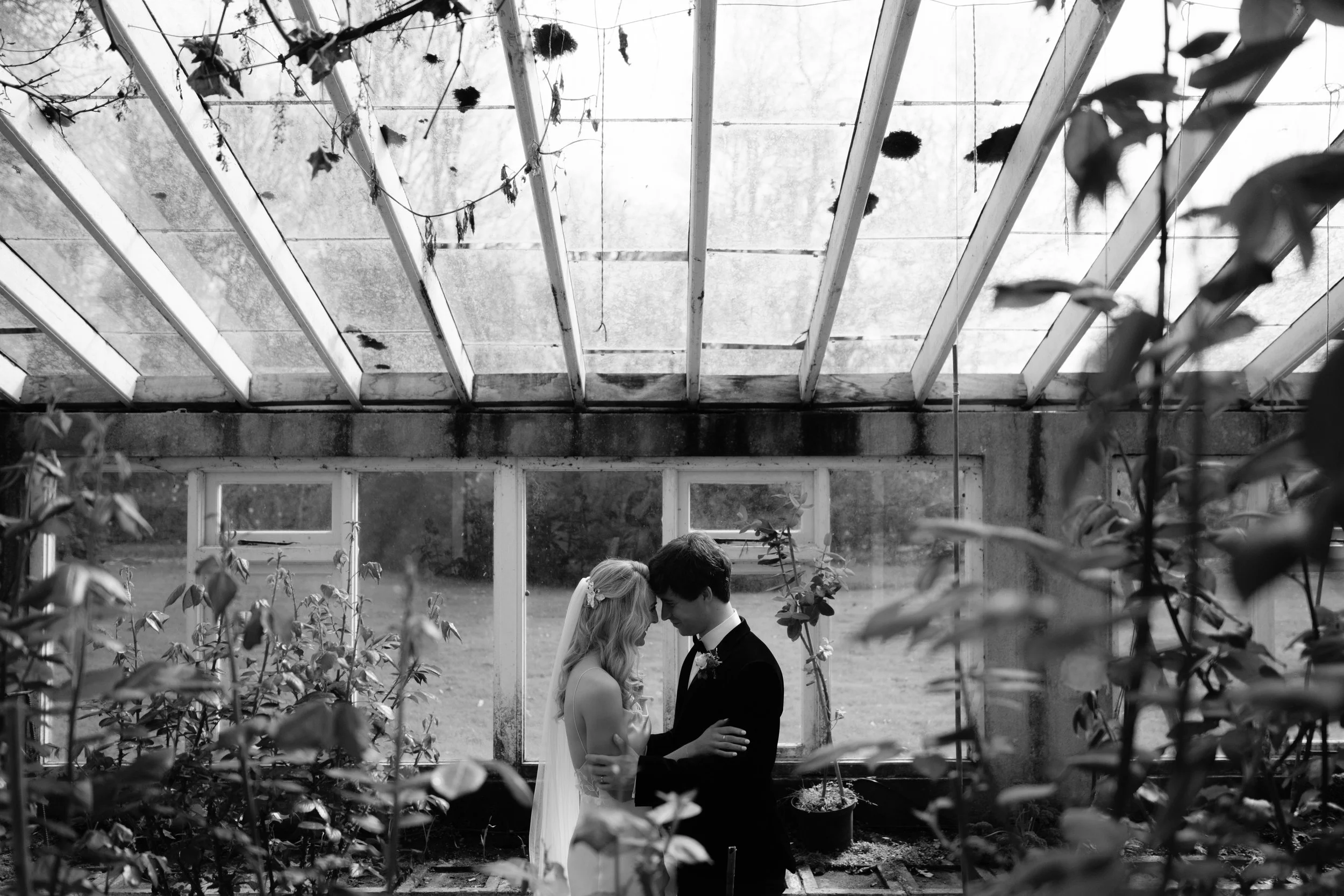 A bride and groom from a wedding get close together with heads touching inside a greenhouse, surrounded by plants and framed by glass windows and wooden beams.
