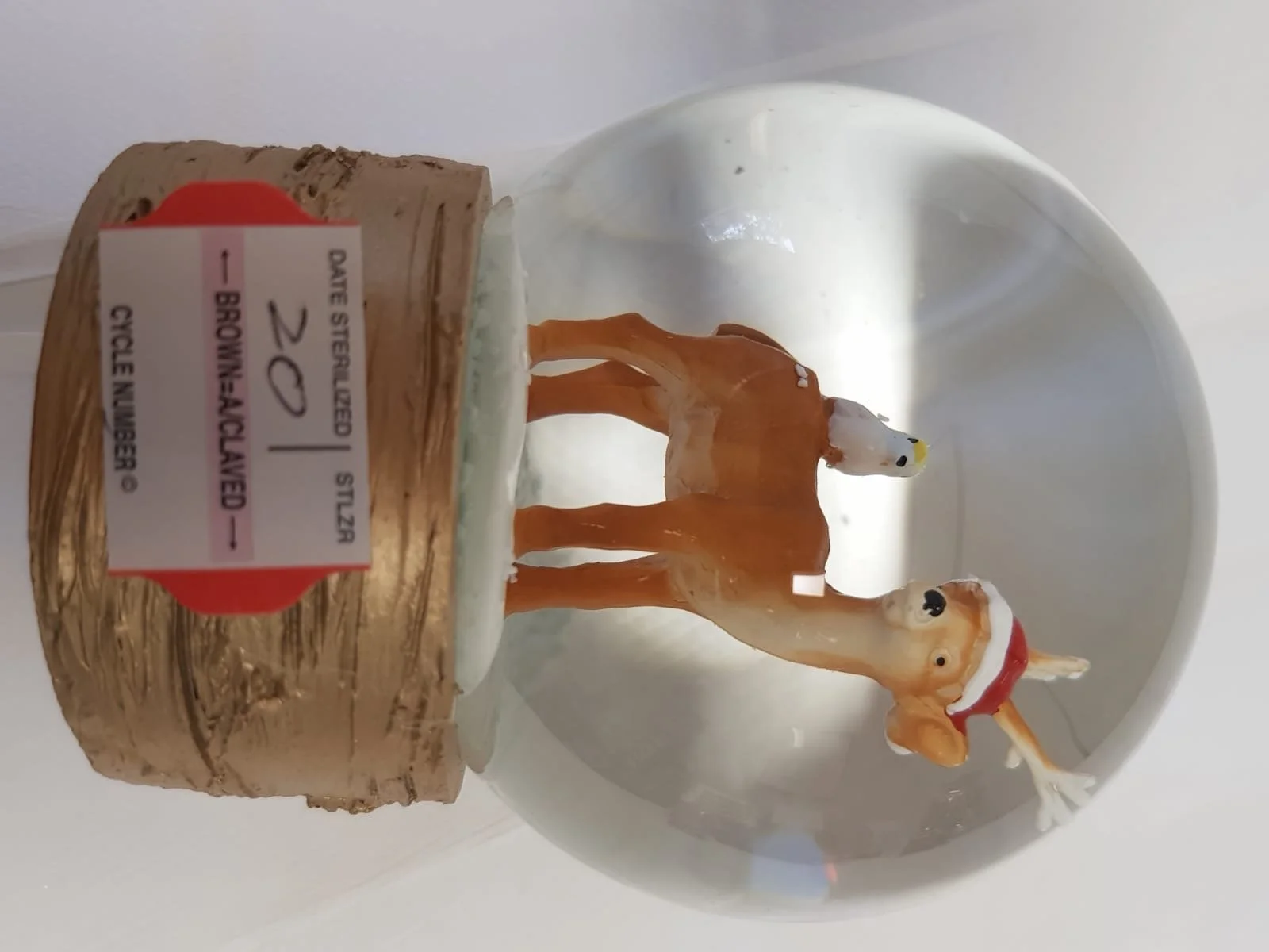 Add on: Large Snow Globe