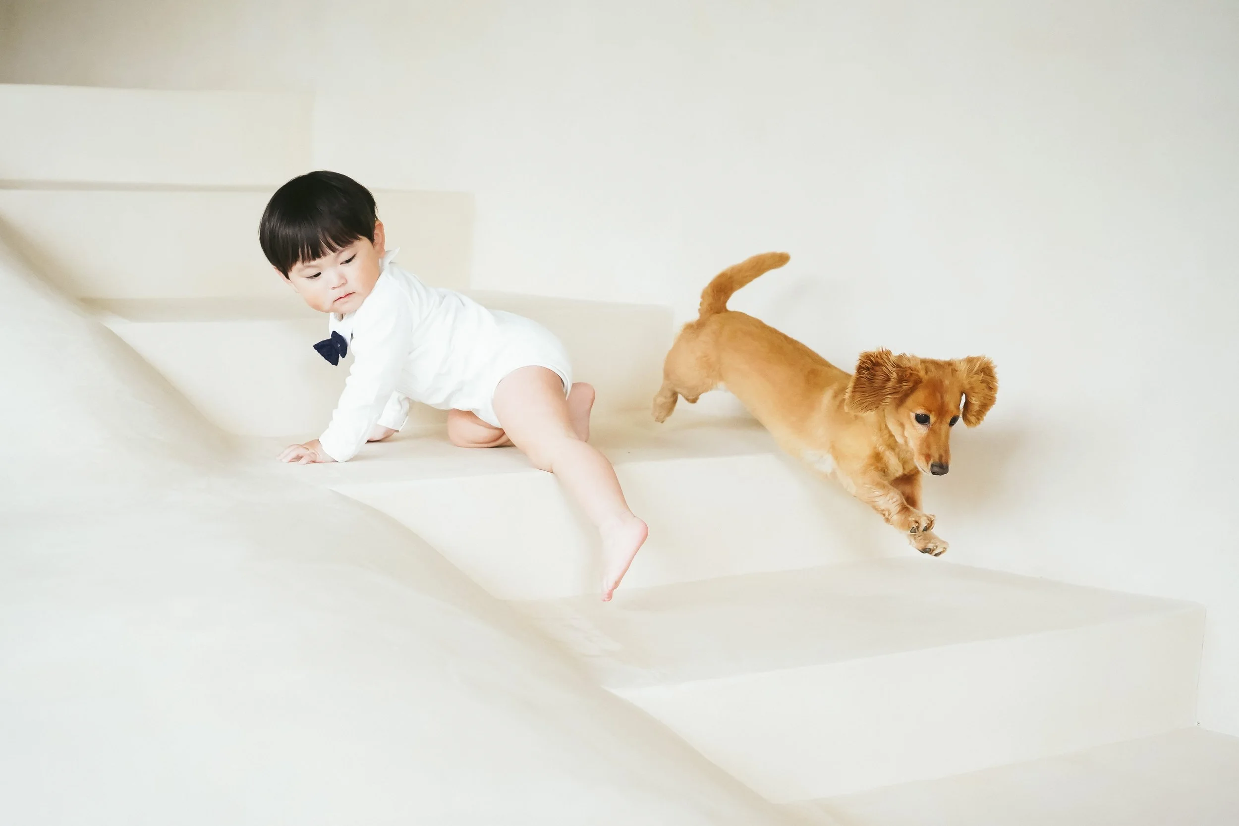 ペットと子どものシンクロ写真特集