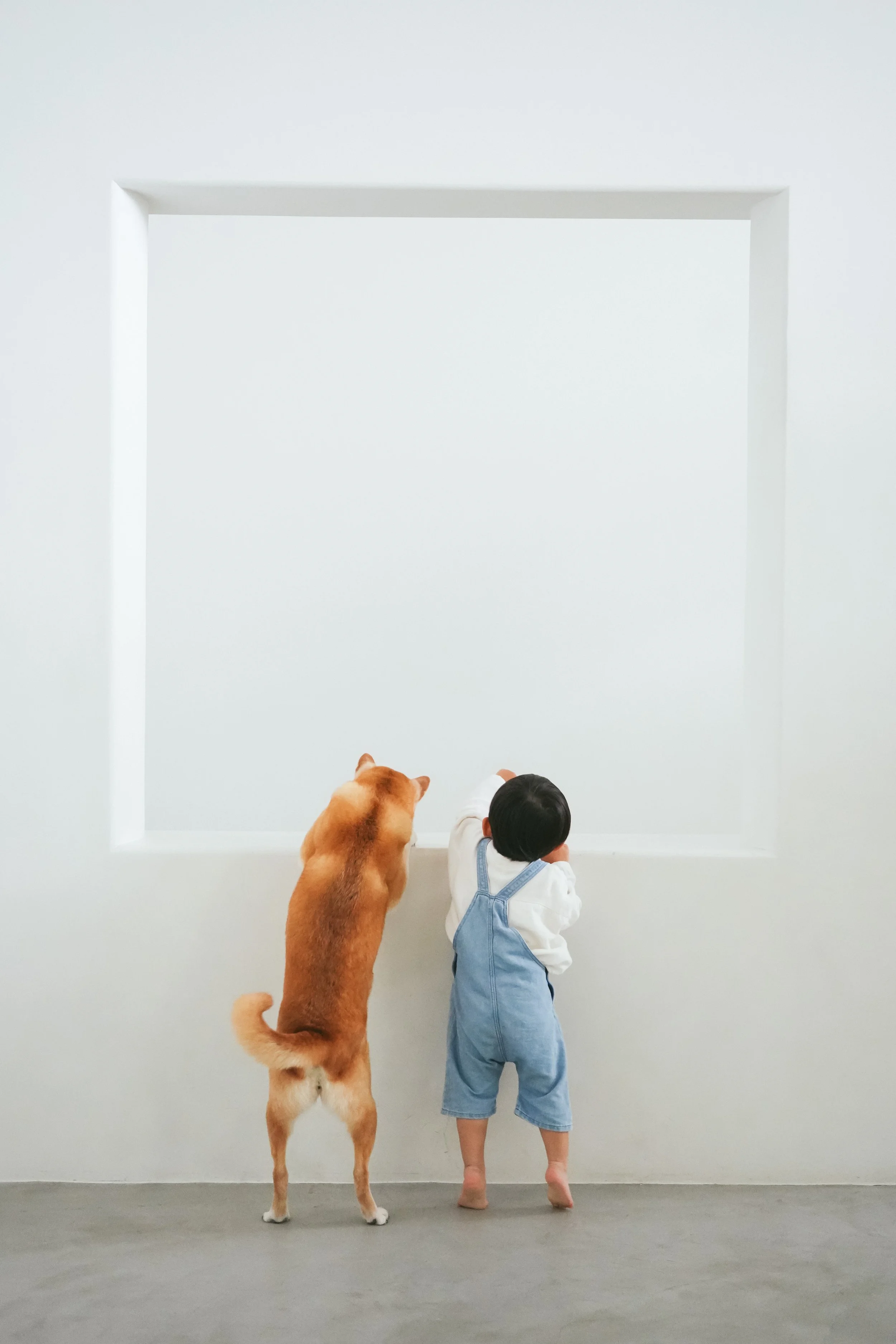 240520_2_0016 (1).jpg