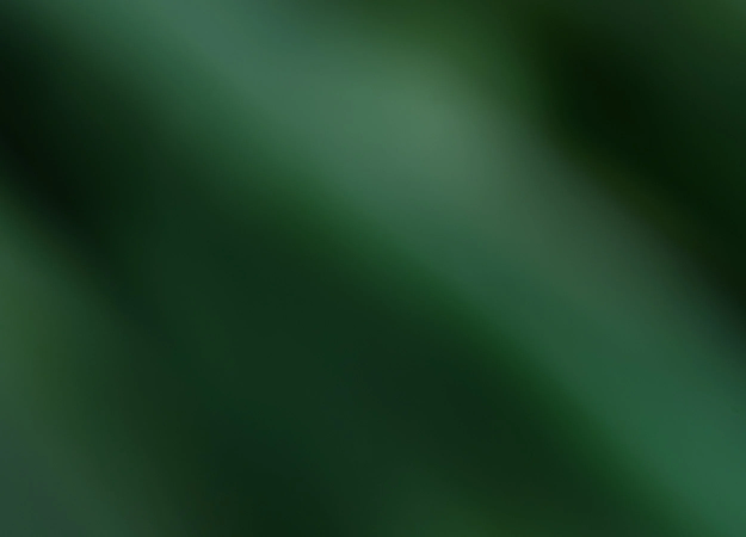 5b_羽織.jpg