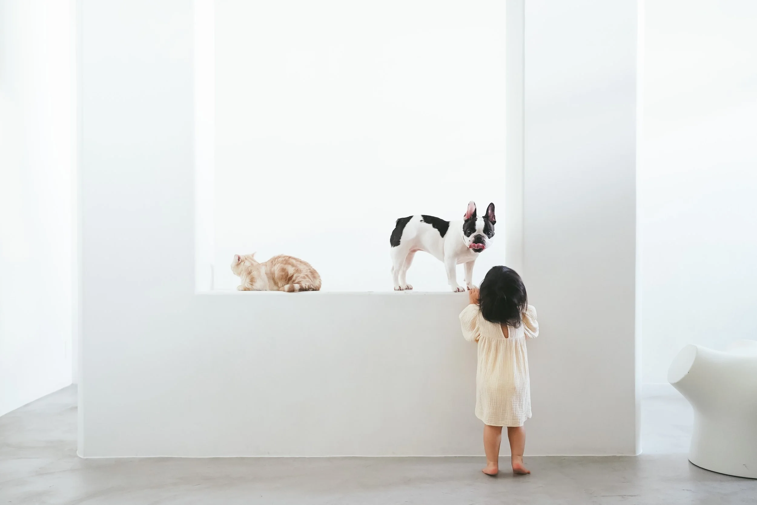 241216_5_0040 (1).jpg