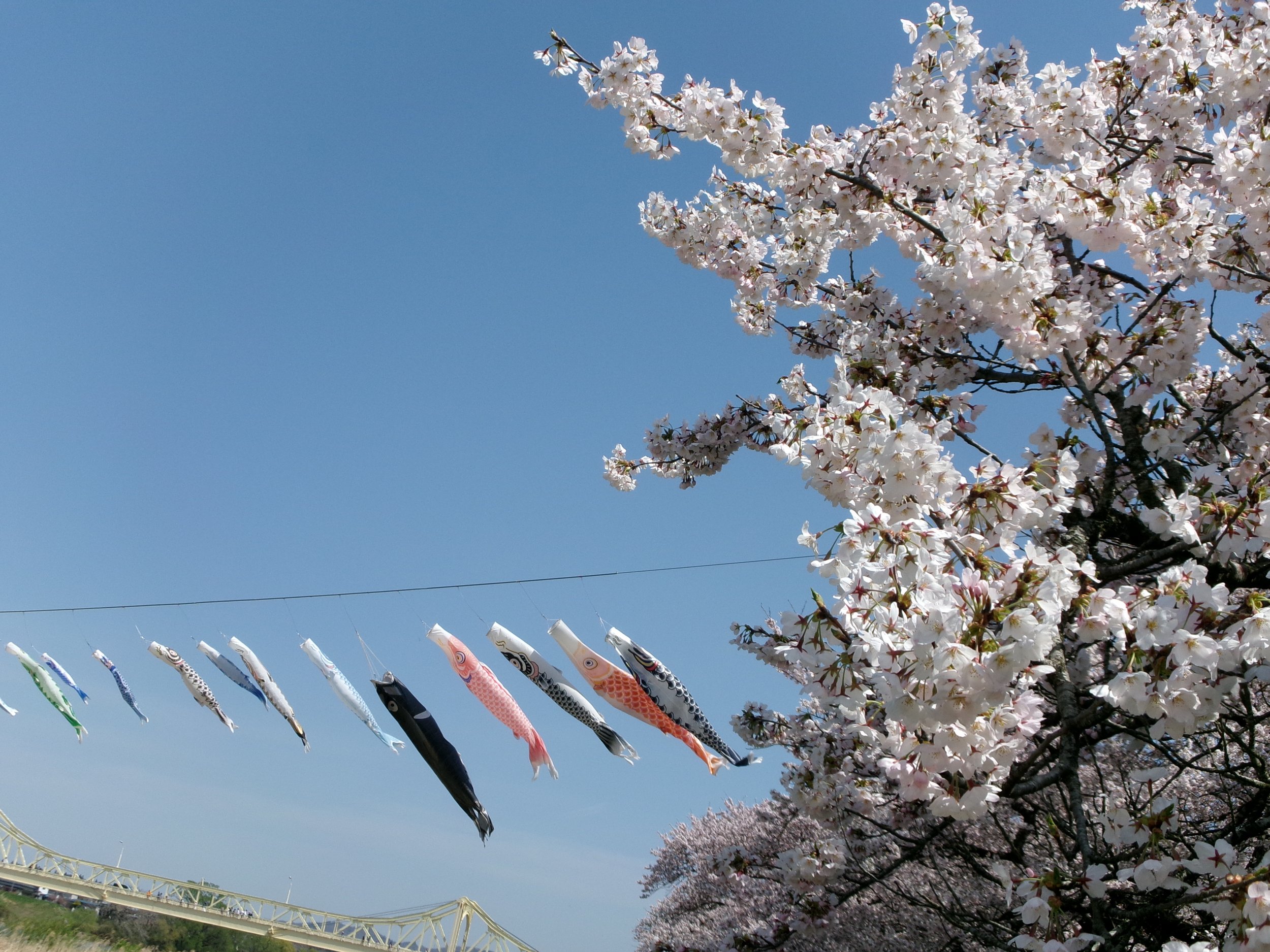 岩手県北上市 北上市立公園展勝地
