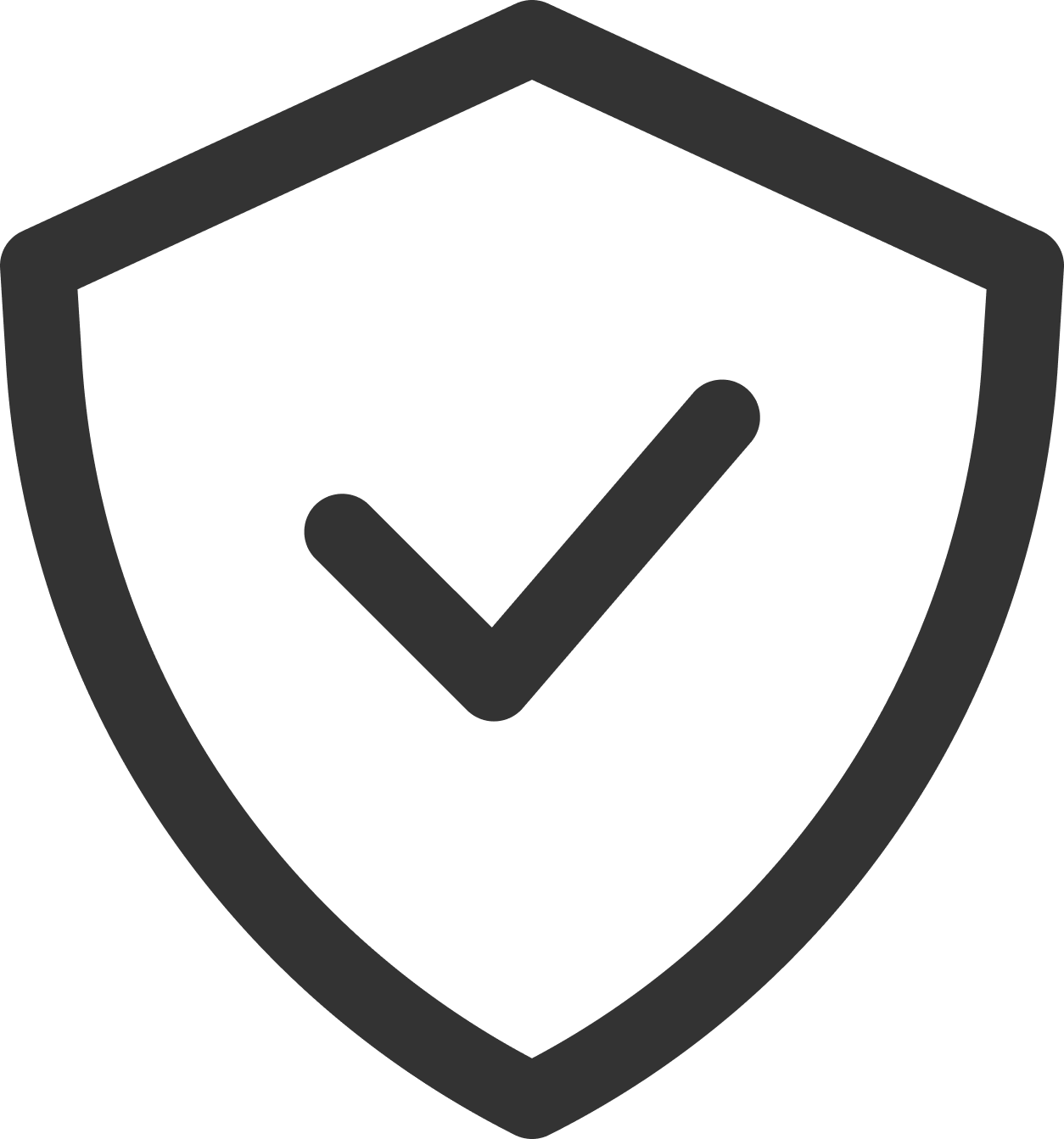 Icon für sichere & professionelle App