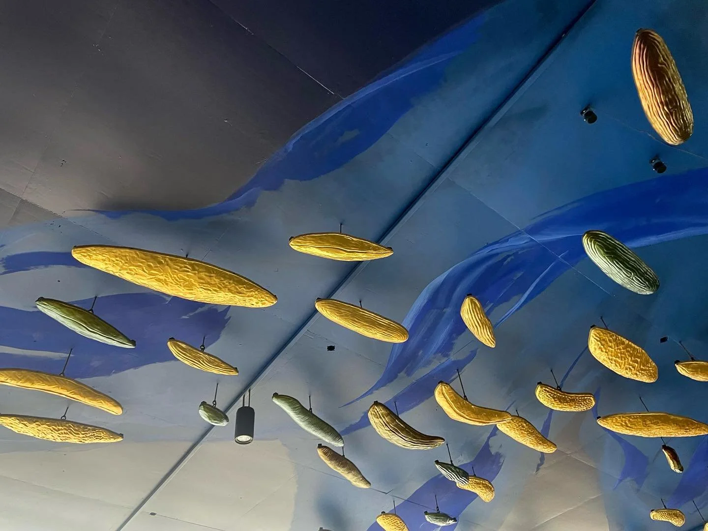 Super-Sydney!!! A quick wiz-around the sparkly city 💖