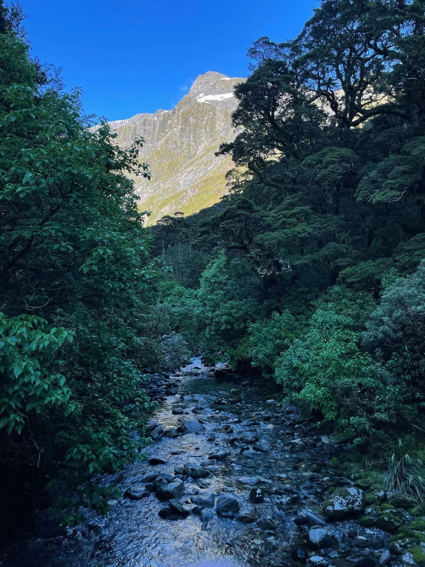 Milford Track epic!
Walked this with my family as a 9 year old, now with my own mob. Stunningly beautiful, the scale incredible. Well done us!!