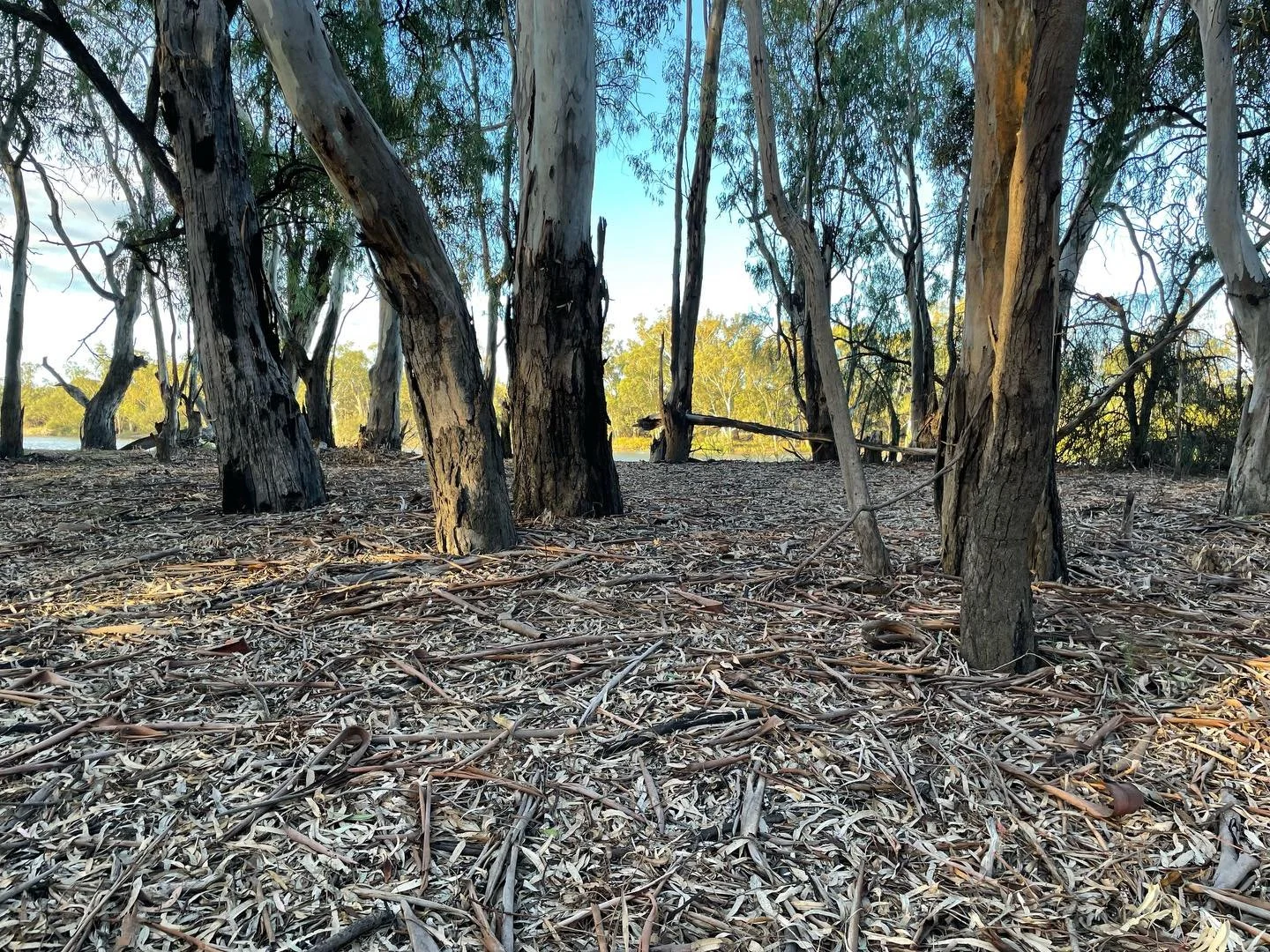 River-time with this crew 🏠🛥️