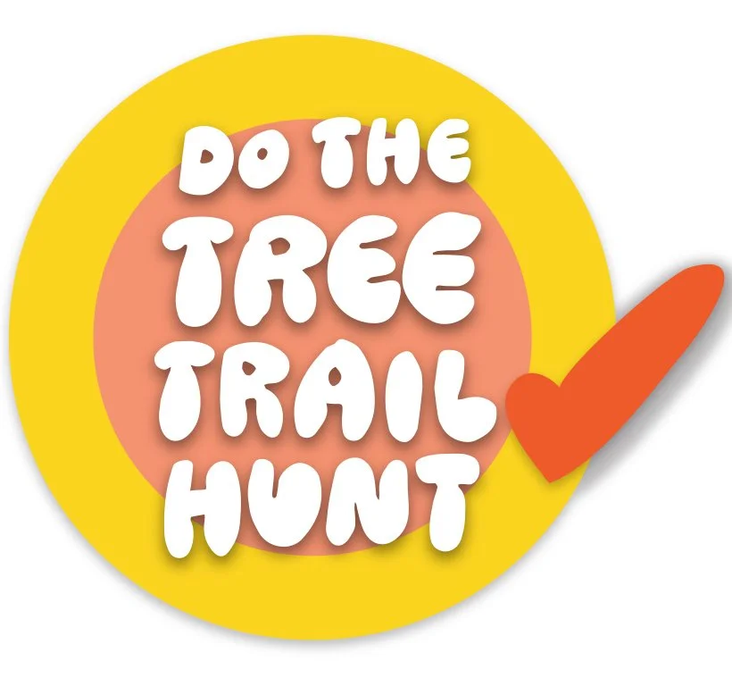trail.jpg