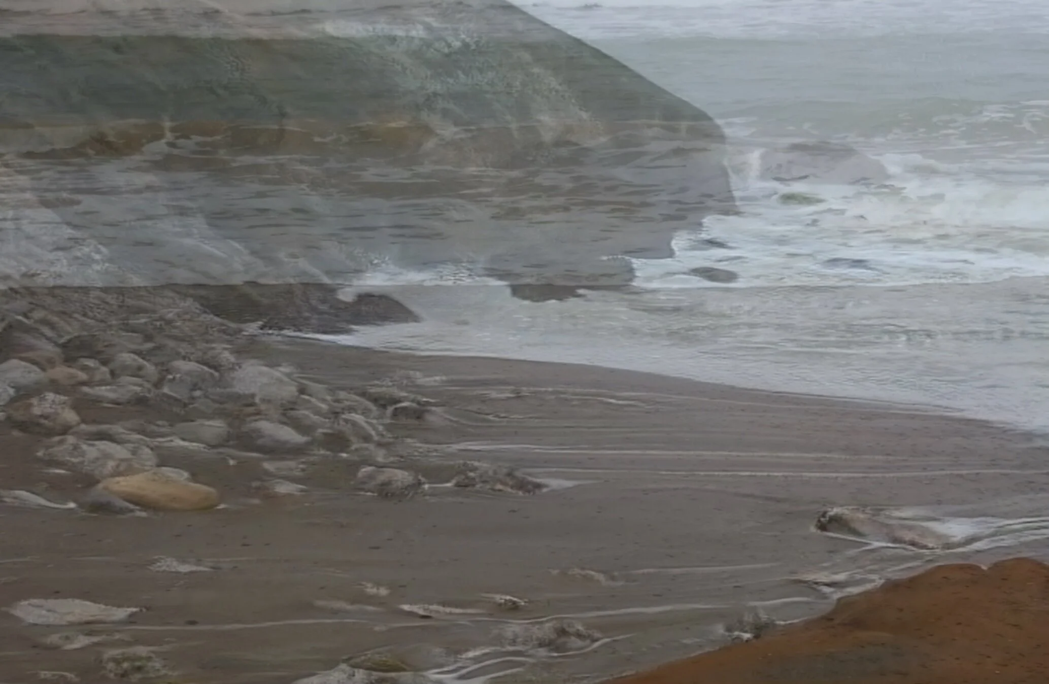 AI is Human After All by Anna Ridler and Caroline Sinders (2019-2021 ...