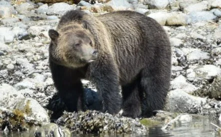 original_c0d3a7ff-39d4-47a9-8008-437afcb26b31_DSC_0259_1 (1).JPG