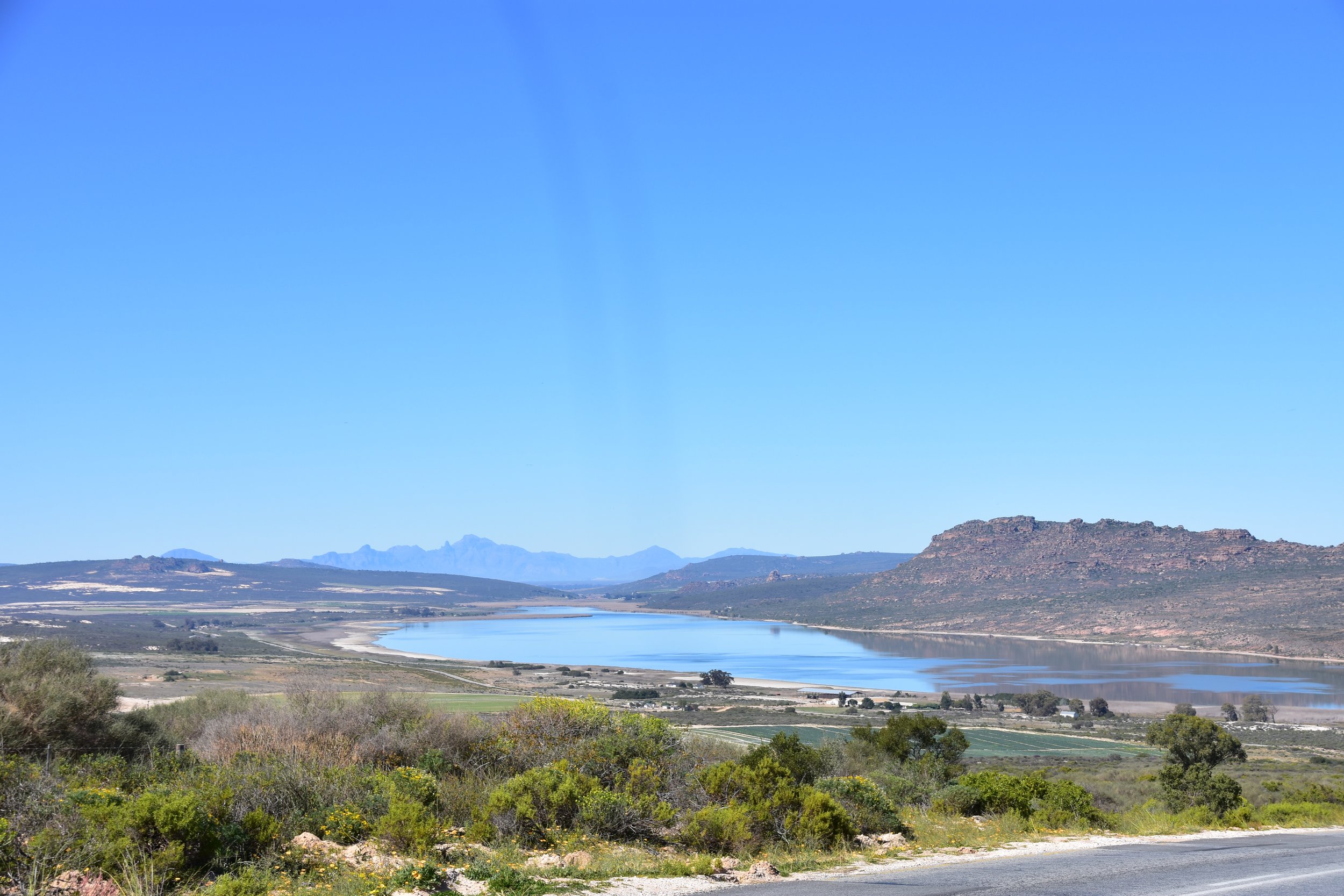 DSC_0225.JPG