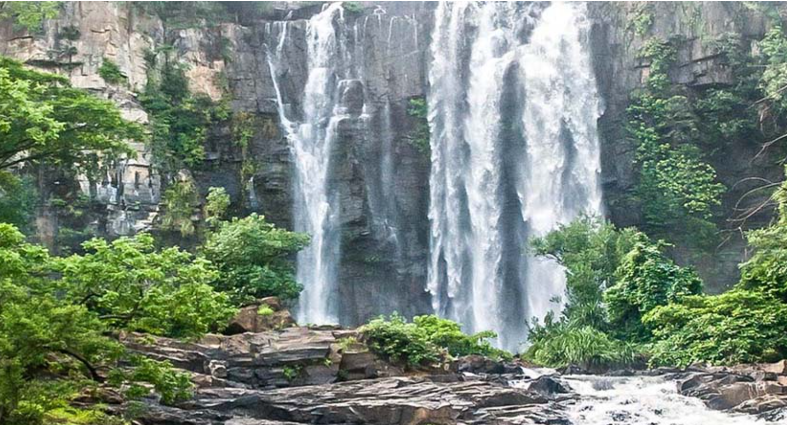 Screenshot 2026-03-17 123429.png